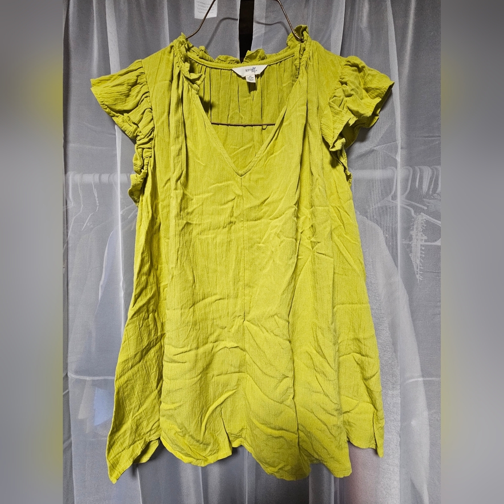 Terra & Sky Light Green Ruffle Sleeve Blouse